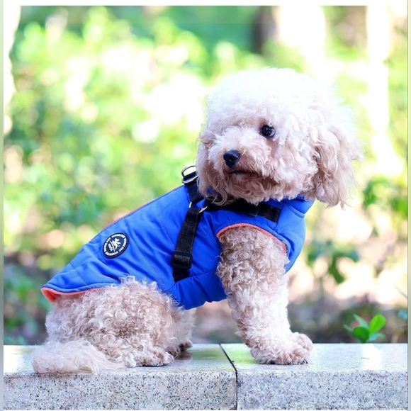NWT Dog Winter Coat Built in Harness Adjustable Blue Dog Jacket XXL - Picture 2 of 4